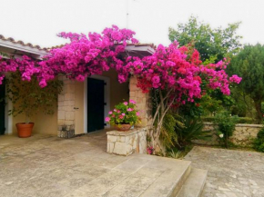 Casa Nostos